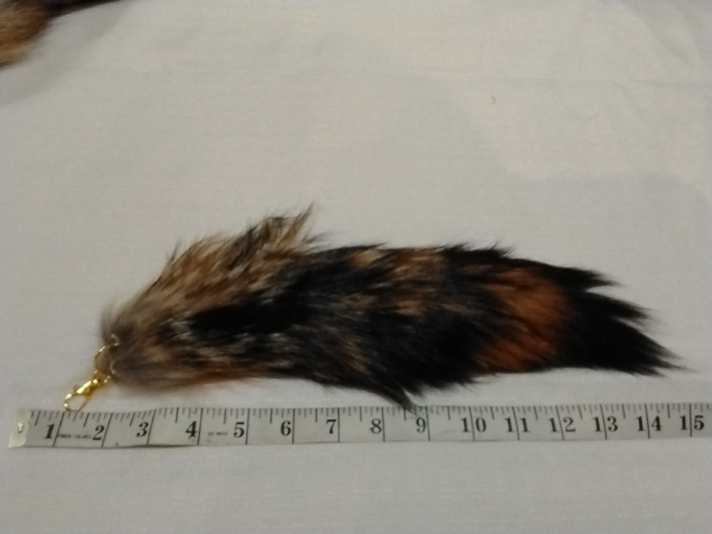 Fur Tails, Coyote