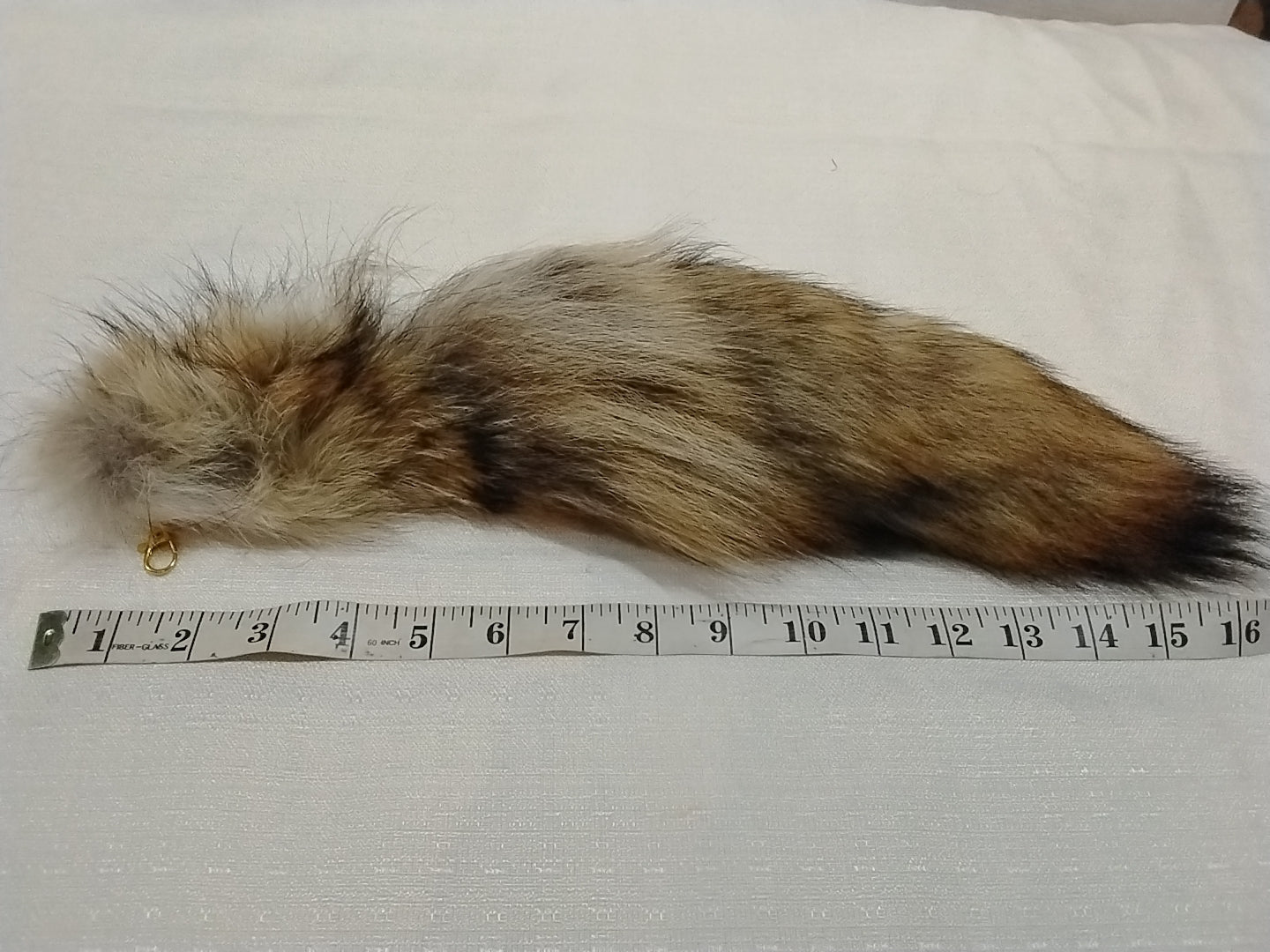 Fur Tails, Coyote