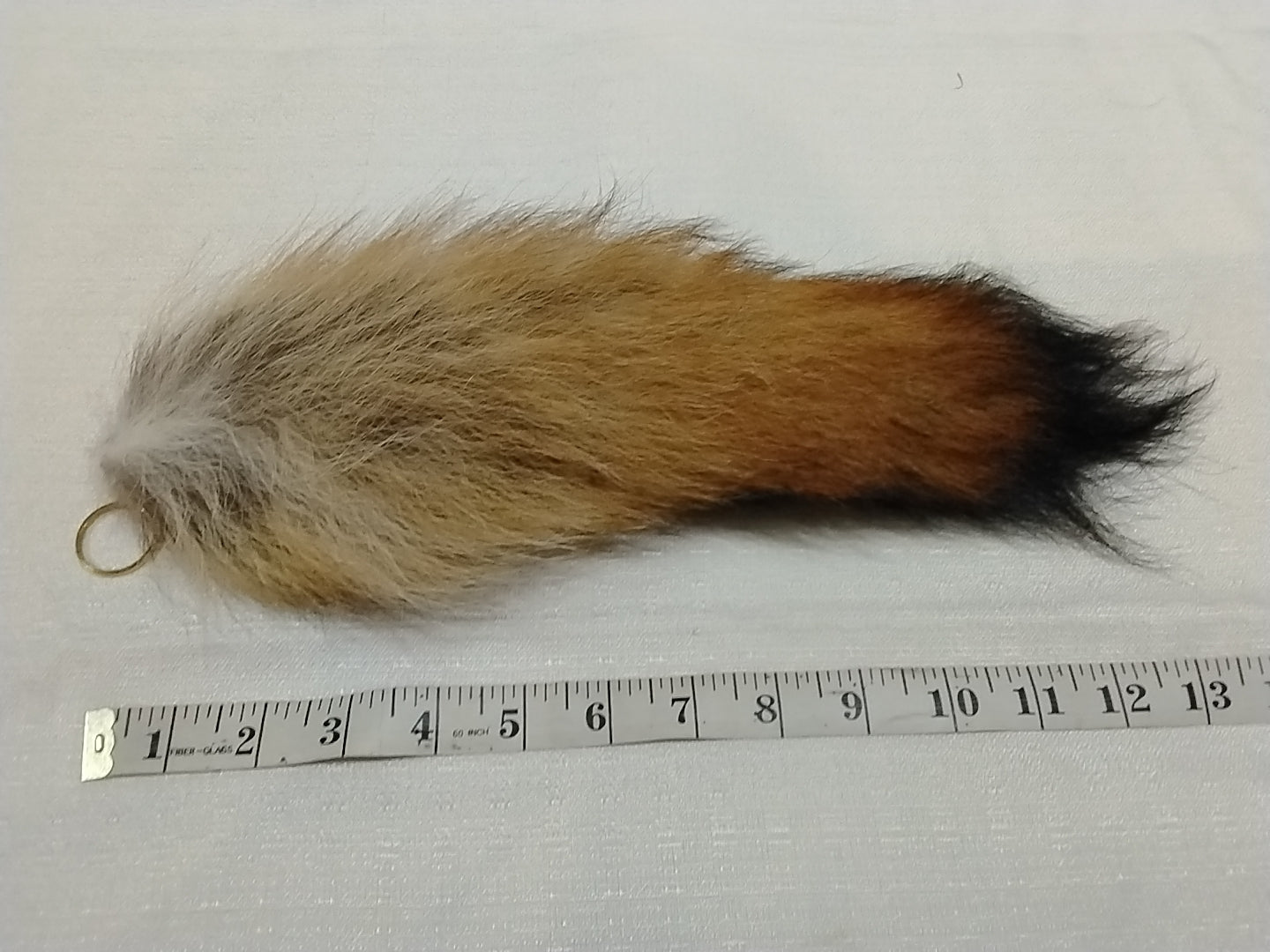 Fur Tails, Coyote