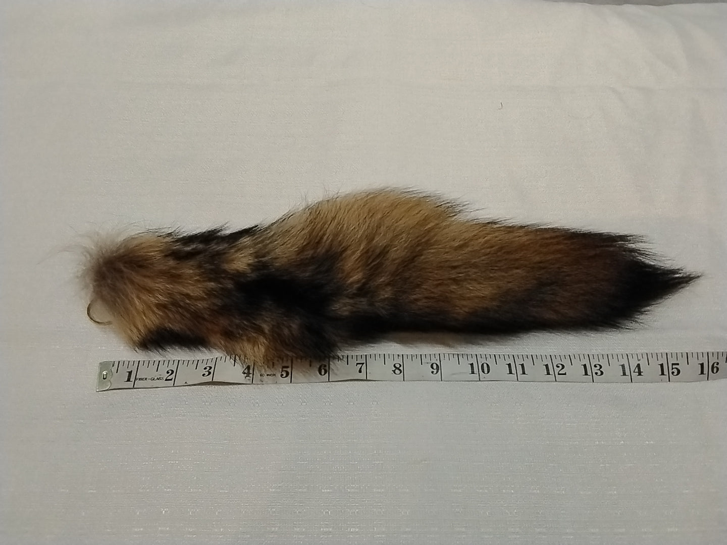 Fur Tails, Coyote