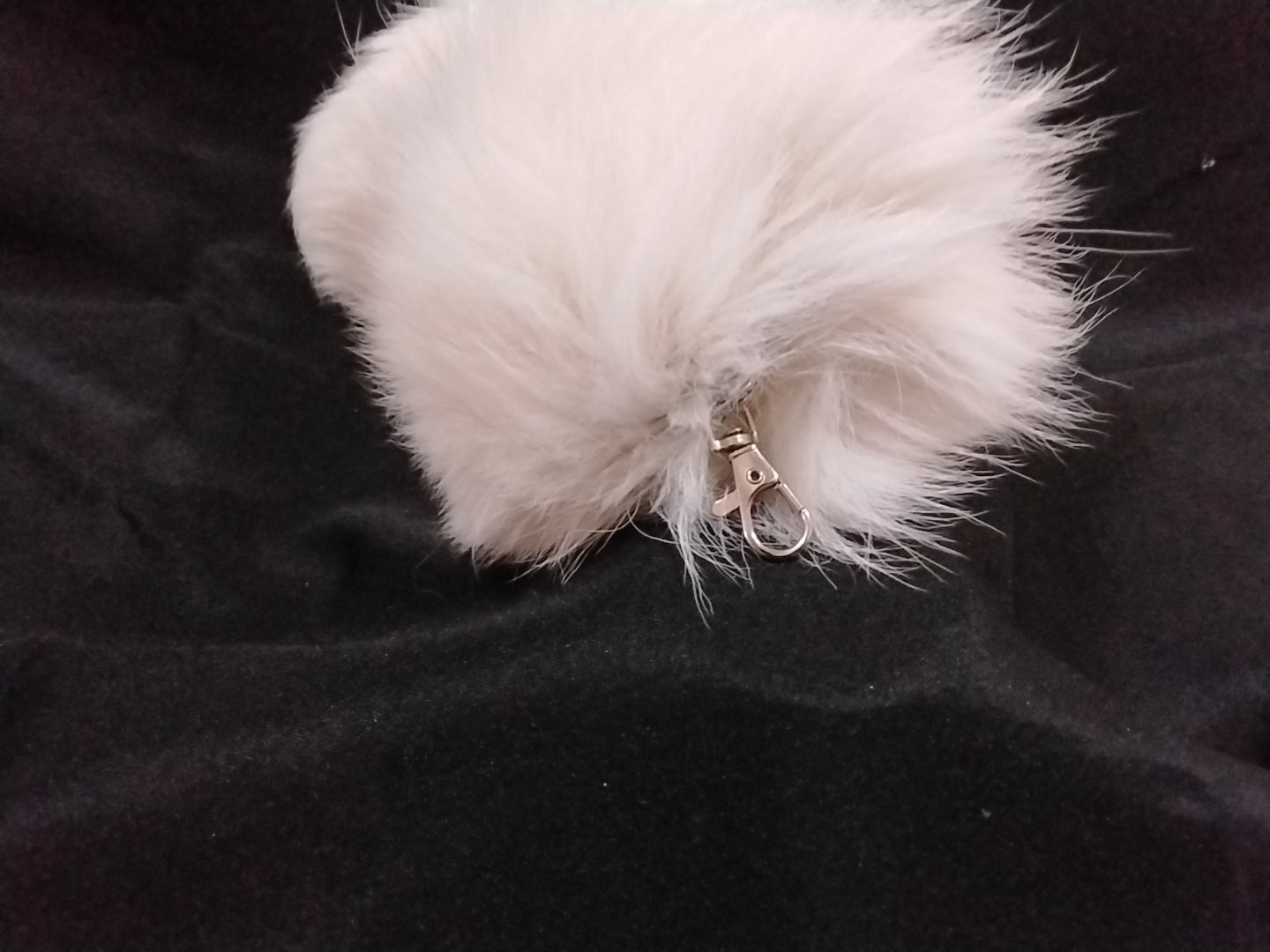 Fur Tail, Snow Fox