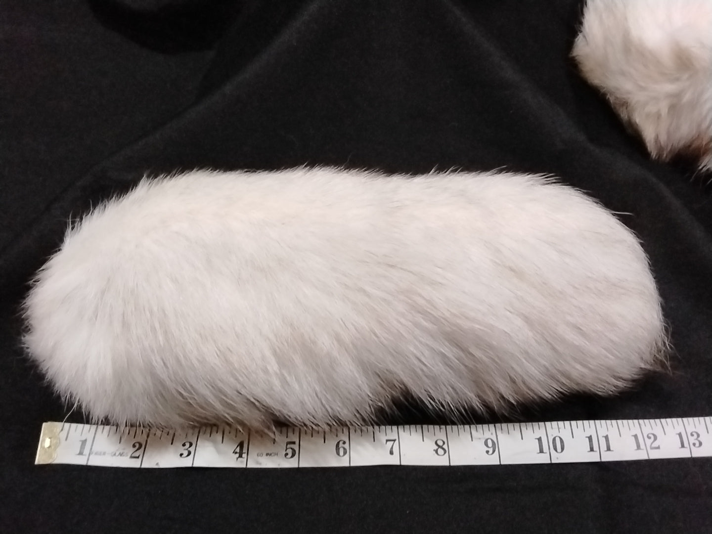 Fur Tails, Arctic Fox