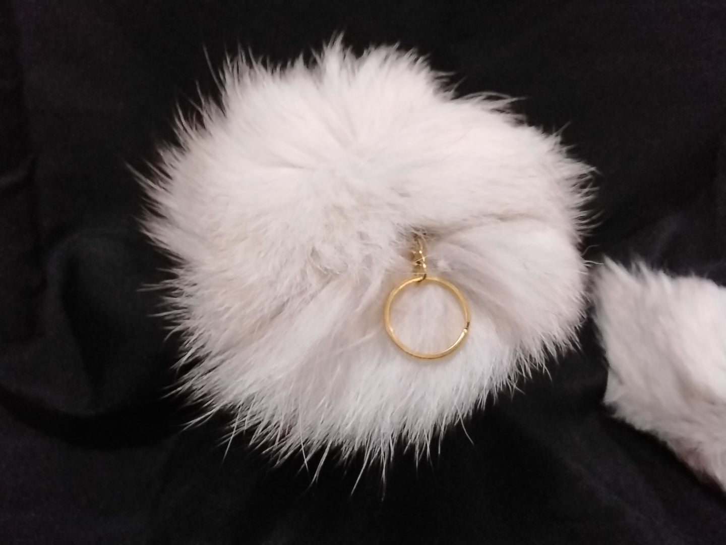 Fur Tails, Arctic Fox