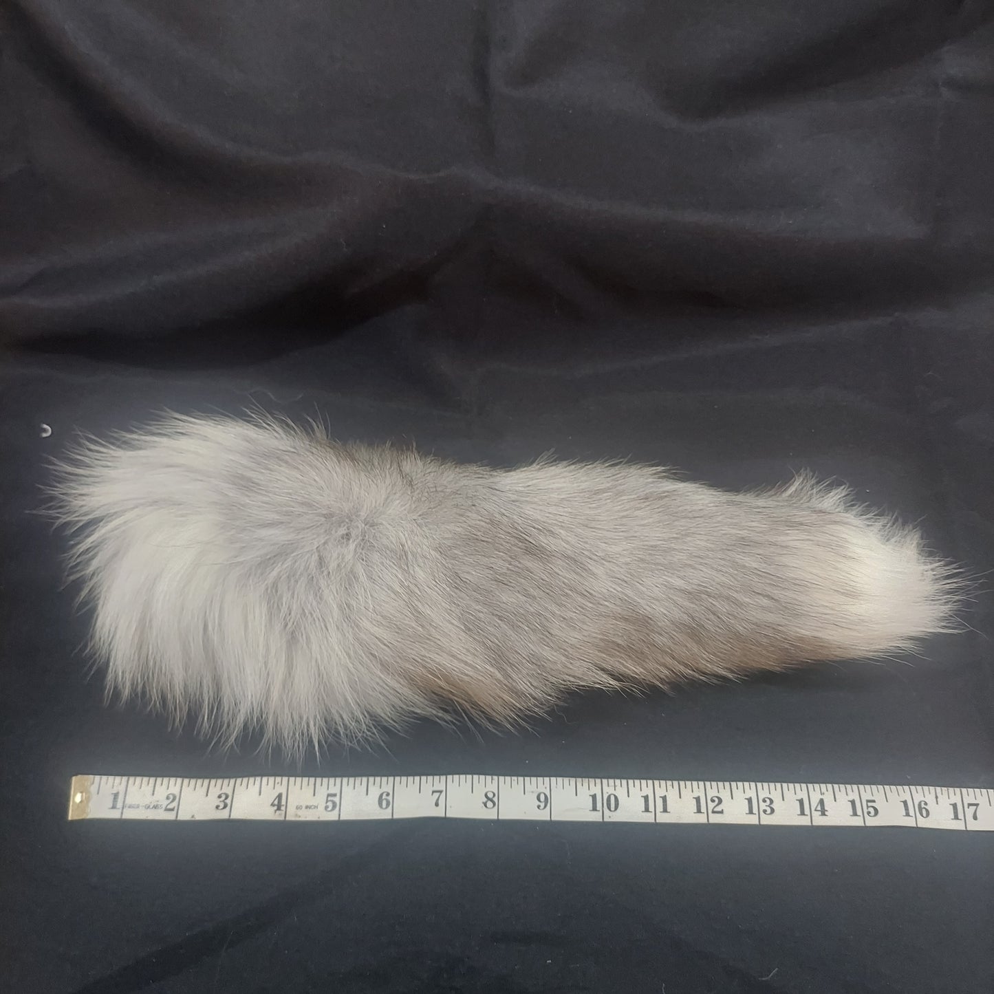Fur Tails, Blue Tip Fox