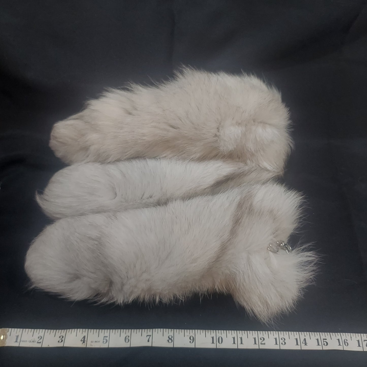 Fur Tails, Blue Tip Fox