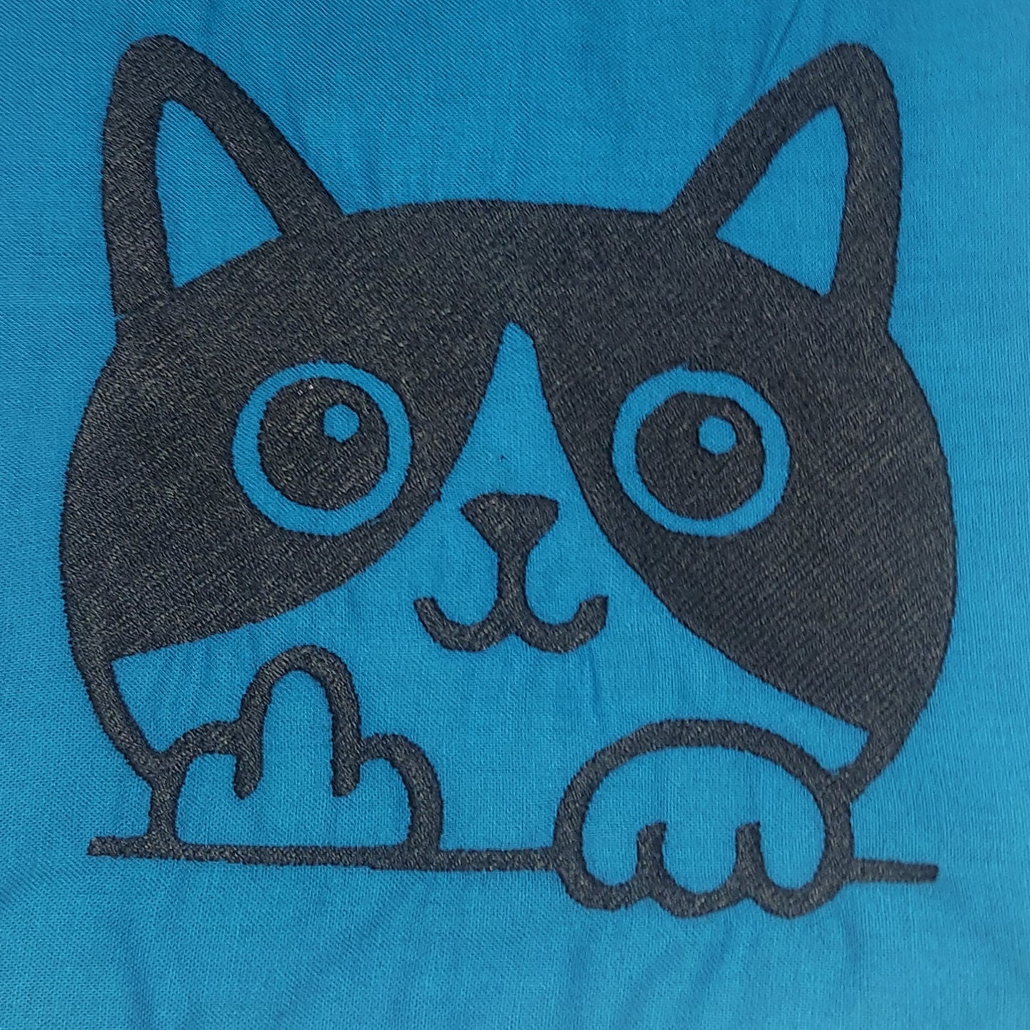 Cat Flipping Off