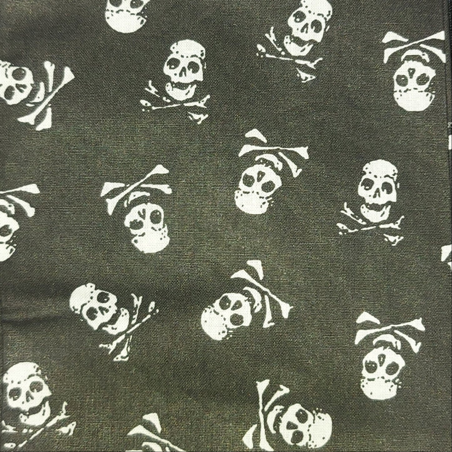 Sword Cover - Skull and Bones