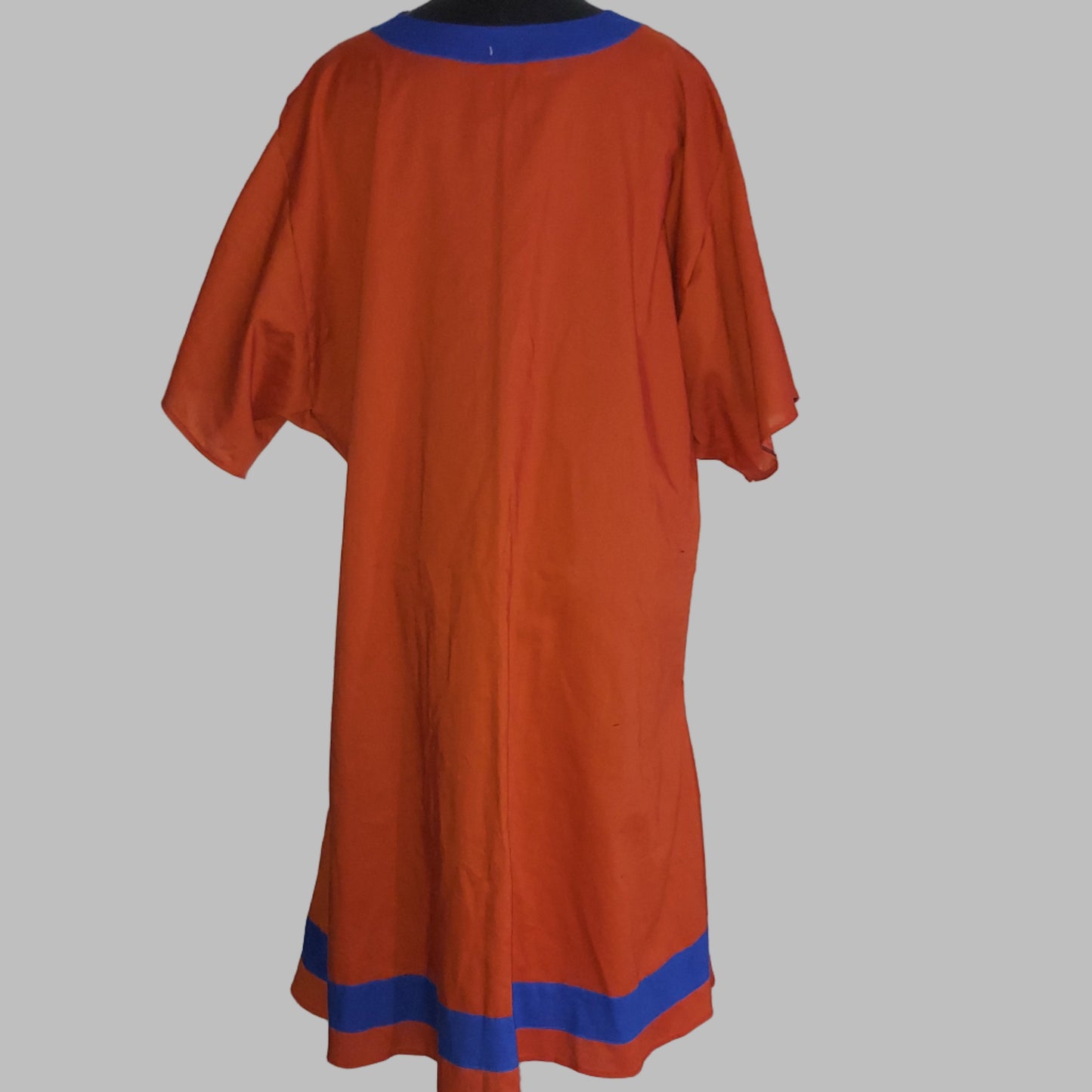 Embroidered Tunic - Dragonball Z - Goku