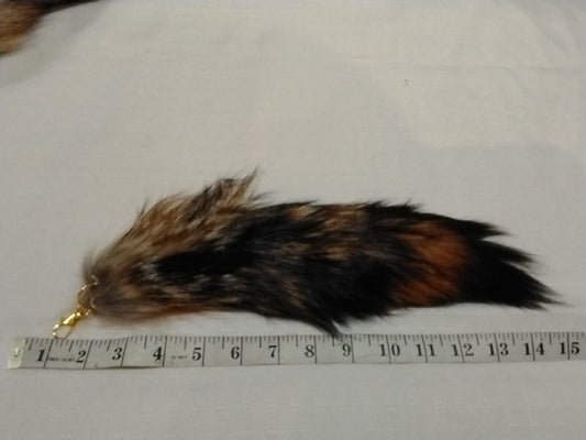 Fur Tails, Coyote