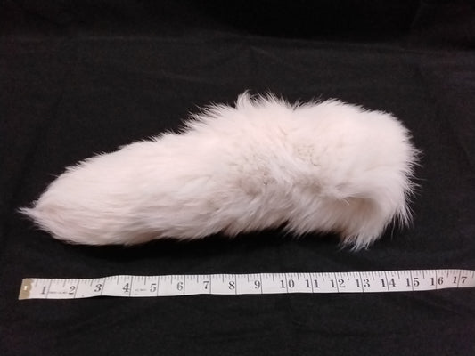 Fur Tail, Snow Fox