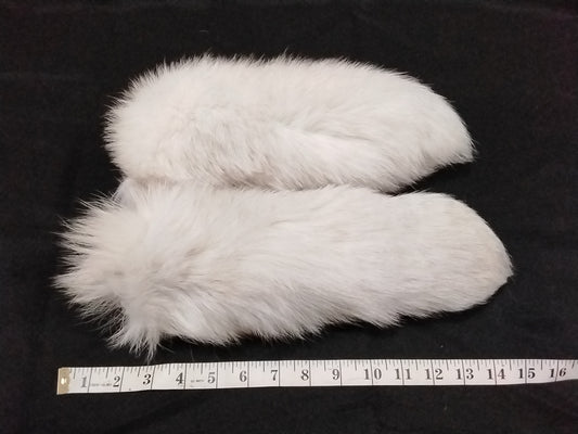 Fur Tails, Arctic Fox