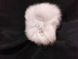 Fur Tails, Arctic Fox