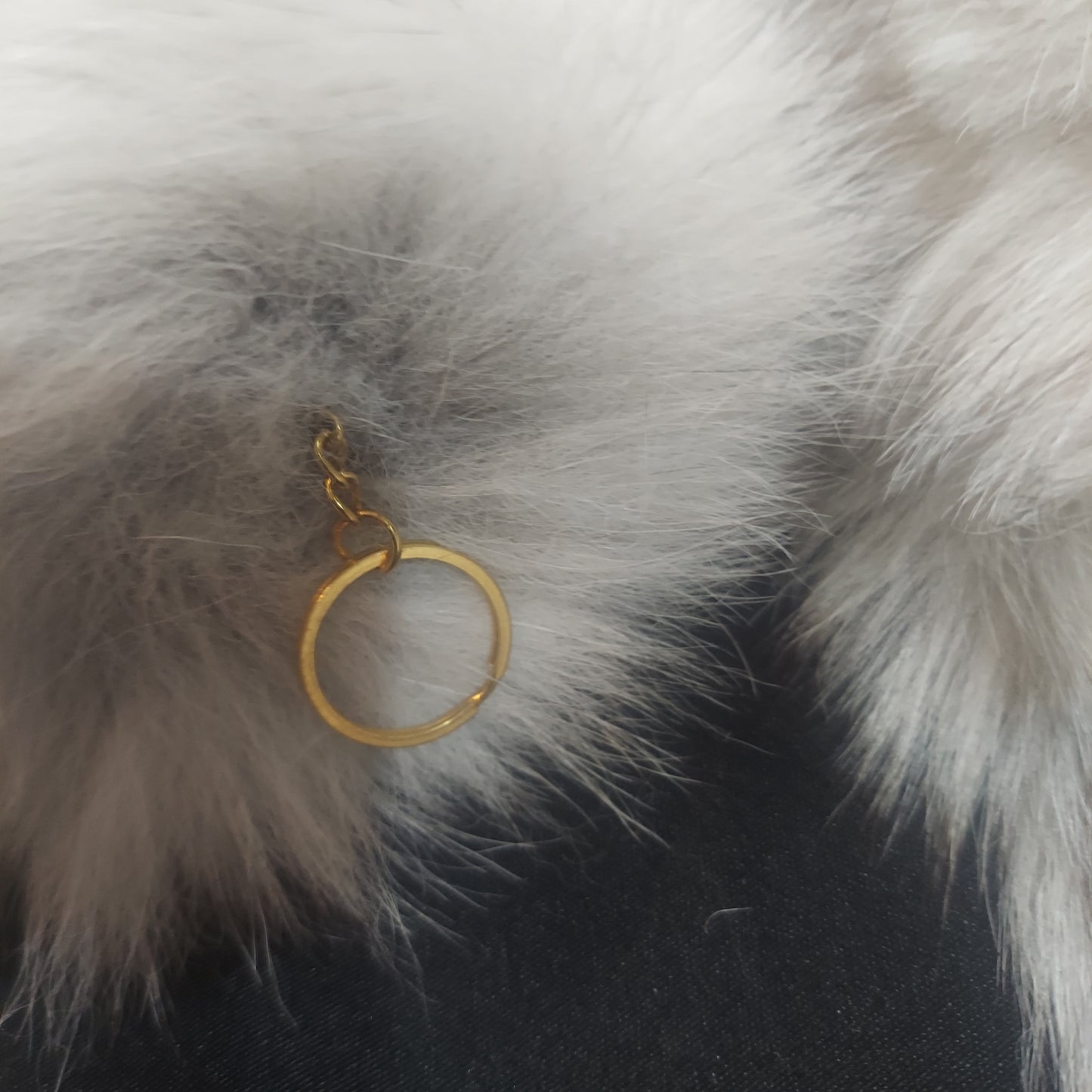 Fur Tails, Blue Tip Fox