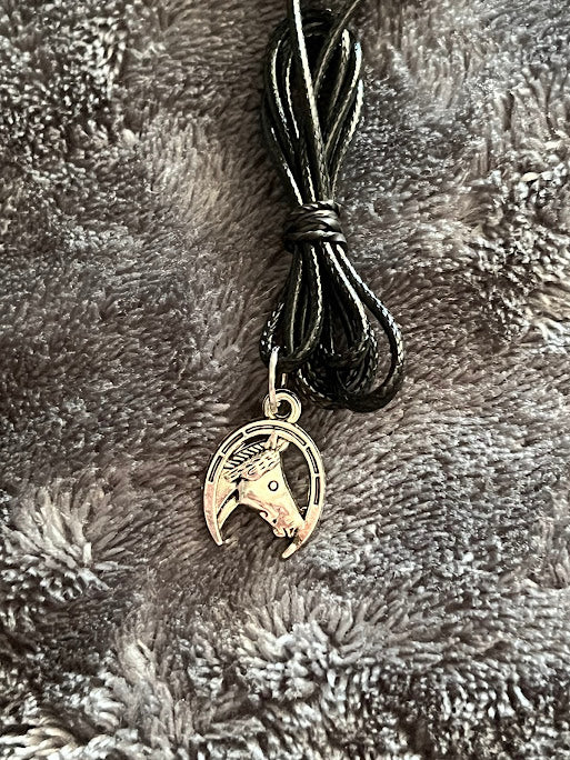 Horse Head and Shoe Necklace